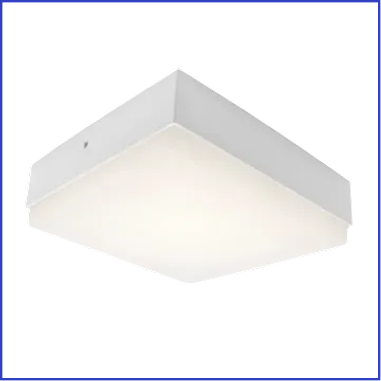 rectangle 34624255 12